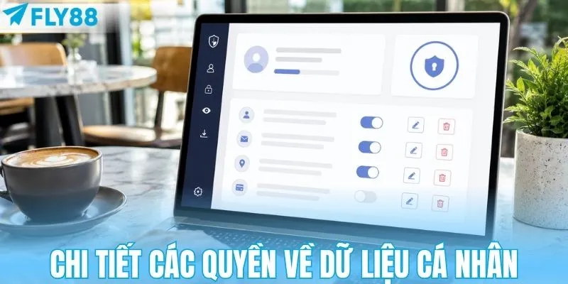 Chi tiết các quyền về dữ liệu cá nhân
