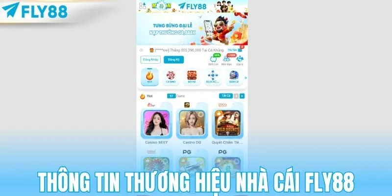 Tìm hiểu thông tin thương hiệu nhà cái FLY88