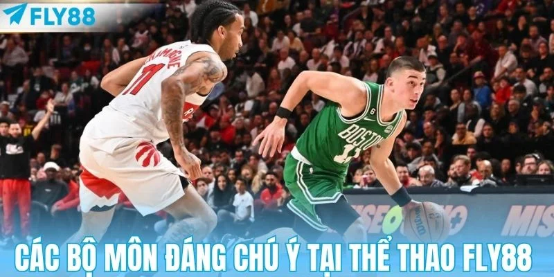 Các bộ môn đáng chú ý tại thể thao FLY88 