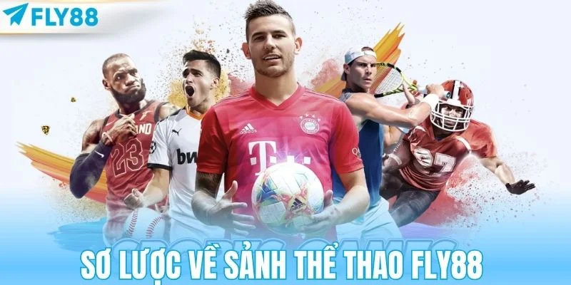 Sơ lược về sảnh thể thao FLY88 