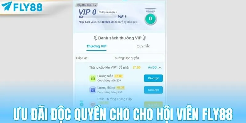 Tổng hợp ưu đãi độc quyền cho hội viên