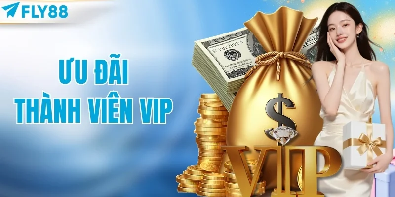 ưu đãi thành viên VIP